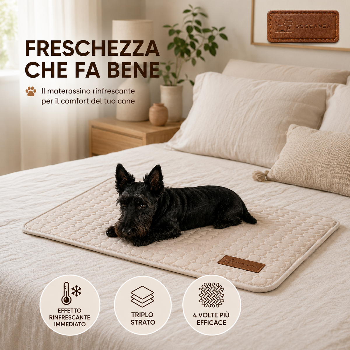 Zephyra -