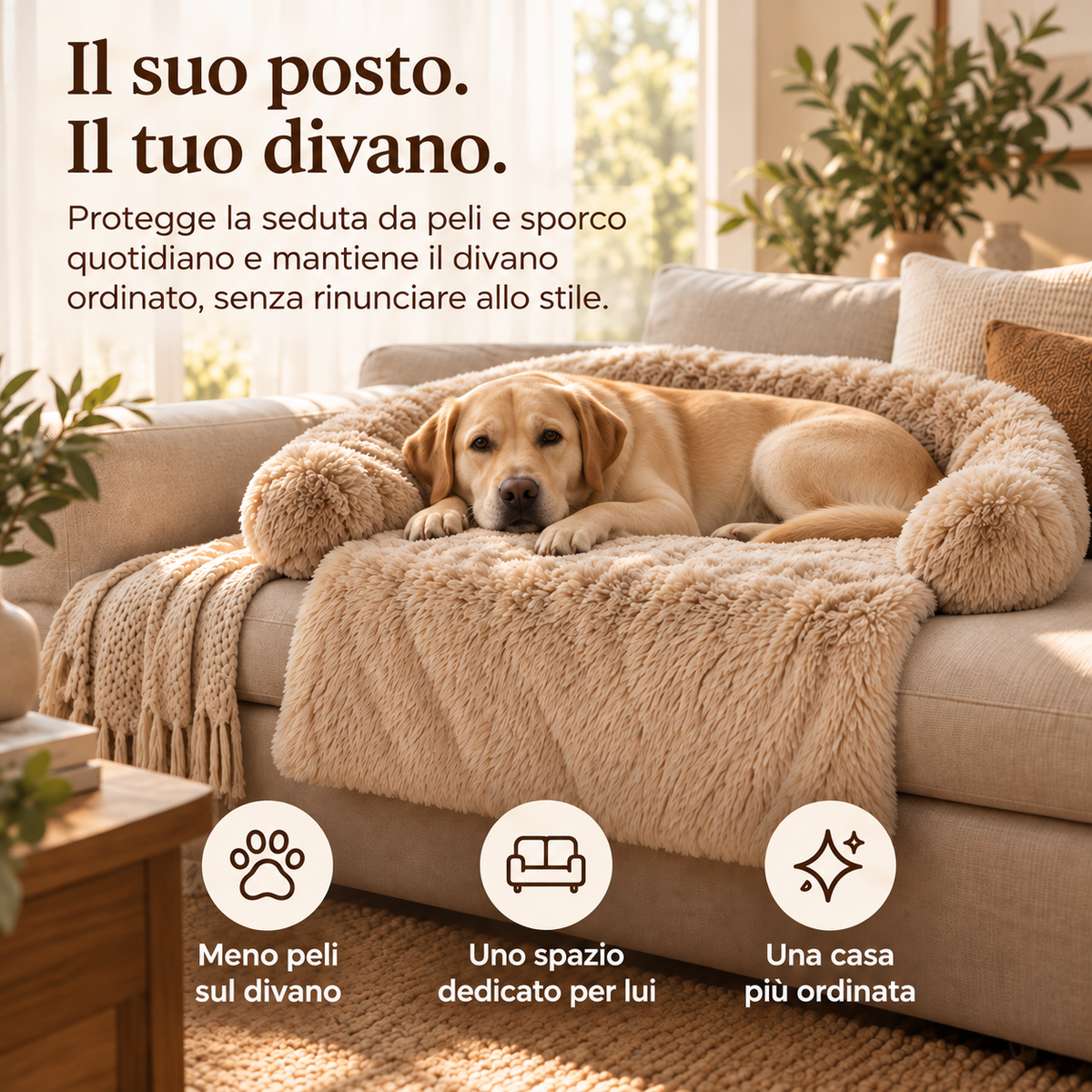 Nubia — Sofa Bed